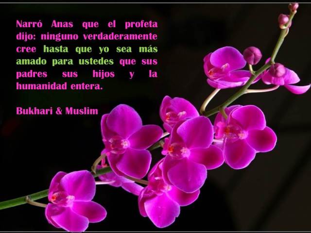 el hadith de anas