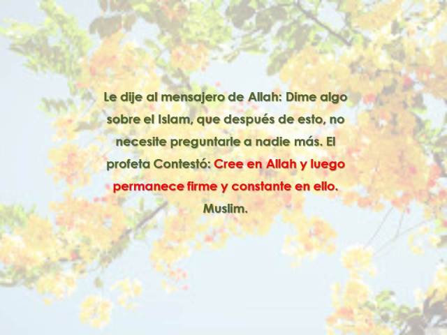 el hadith de sufyan