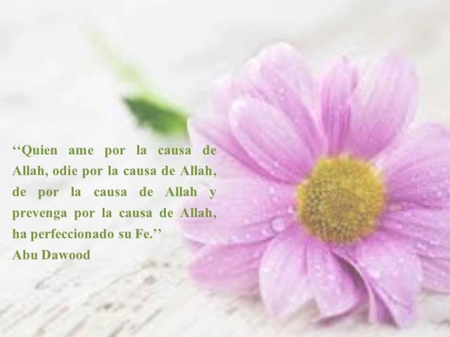 hadtih de abu umamah