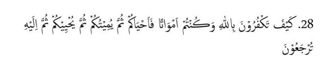 Sura al Baqara Versos 28