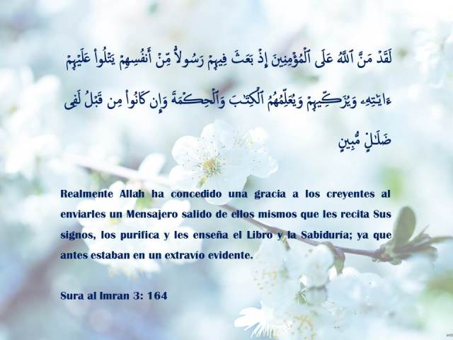 sura al imran 164