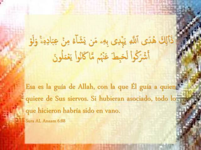 sura al anam 88