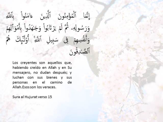 sura al hujurat 15