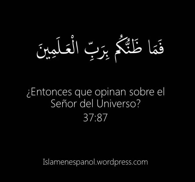 verso 87 sura saffat